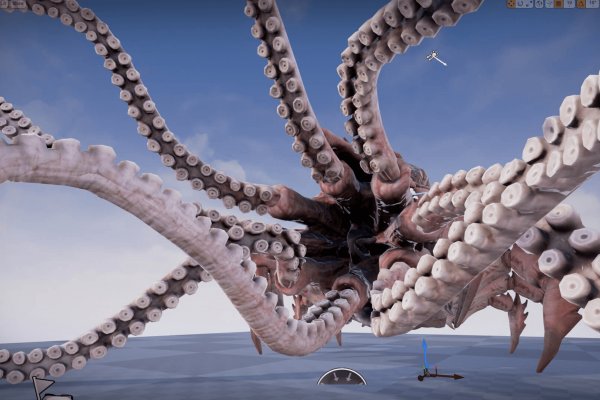 Kraken tor link