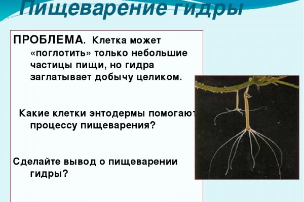 Ссылка на кракен krawebes