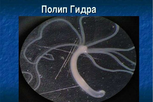 Кракен маркетплейс официальный сайт сайт ссылка