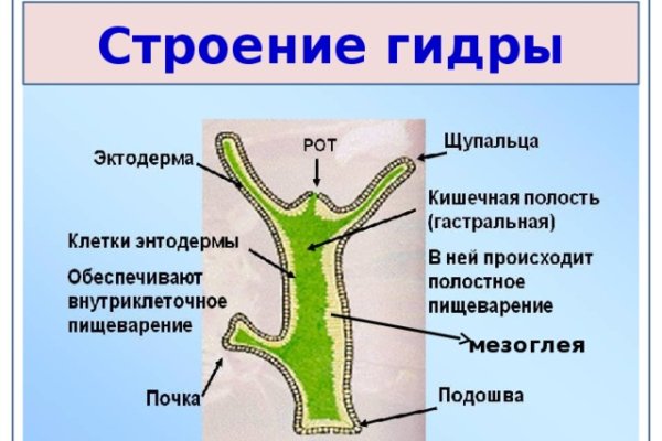 Тор kraken